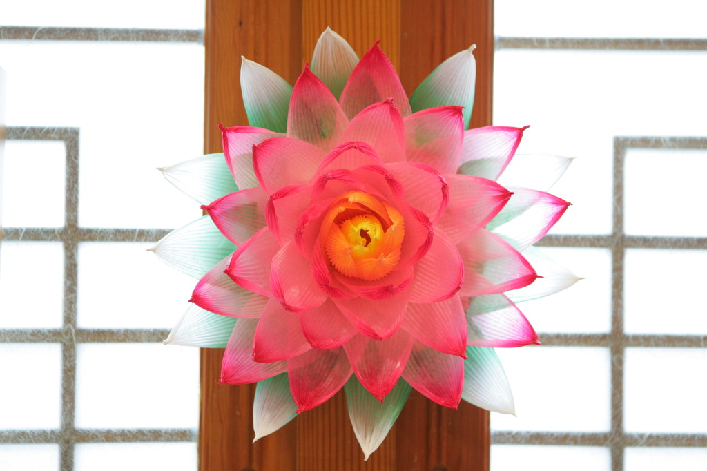 ����ũ��� ����