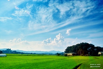 ����ũ��� ����