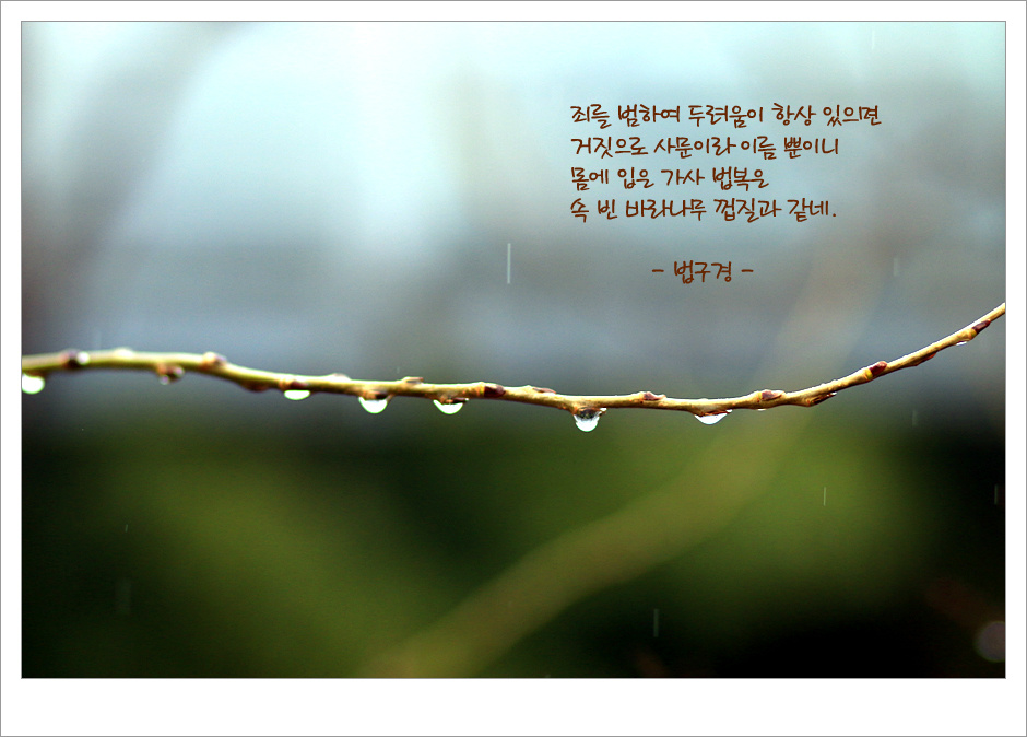 ����ũ��� ����