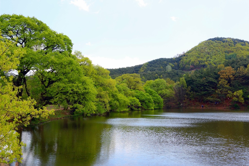 ����ũ��� ����