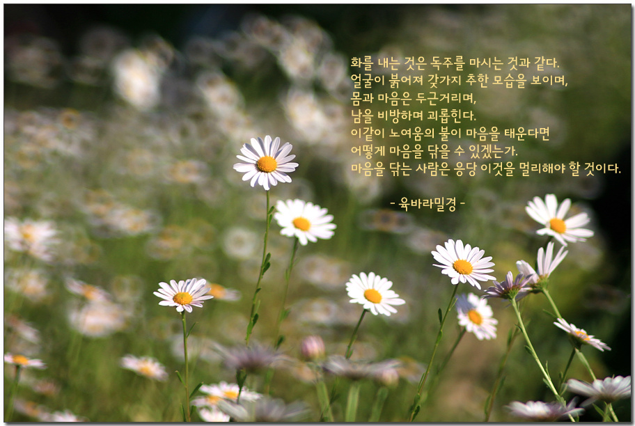 ����ũ��� ����