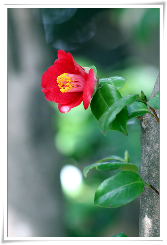 ����ũ��� ����