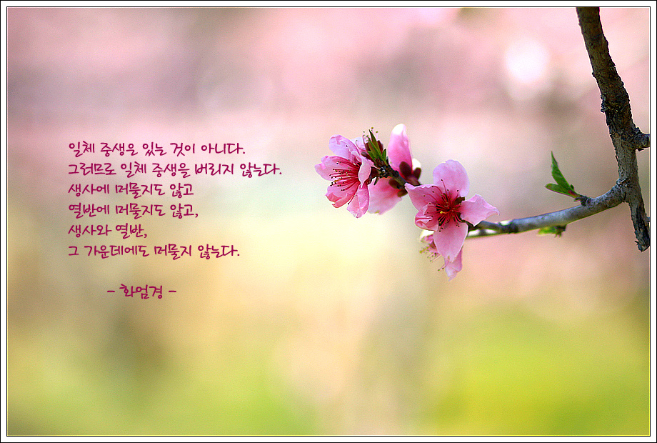 ����ũ��� ����