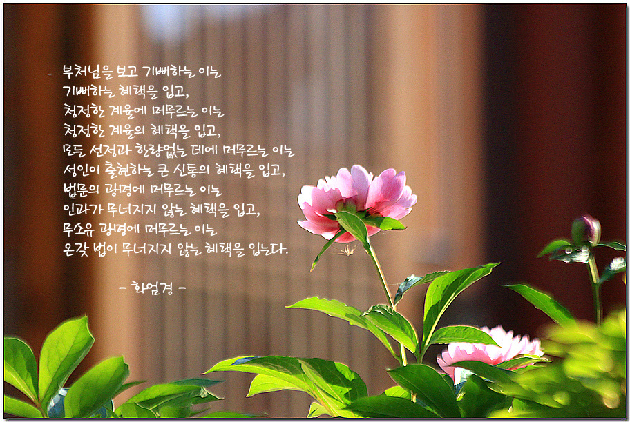 ����ũ��� ����