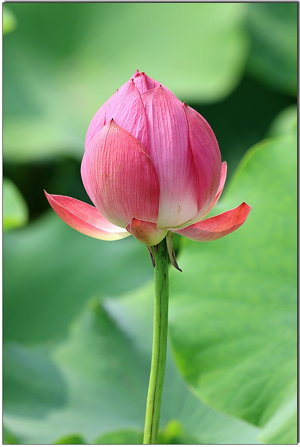 ����ũ��� ����