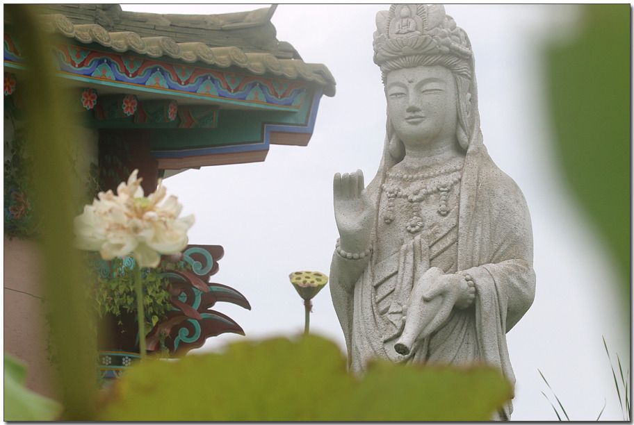 ����ũ��� ����