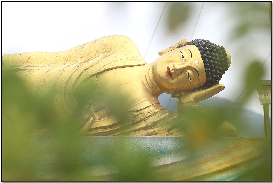 ����ũ��� ����