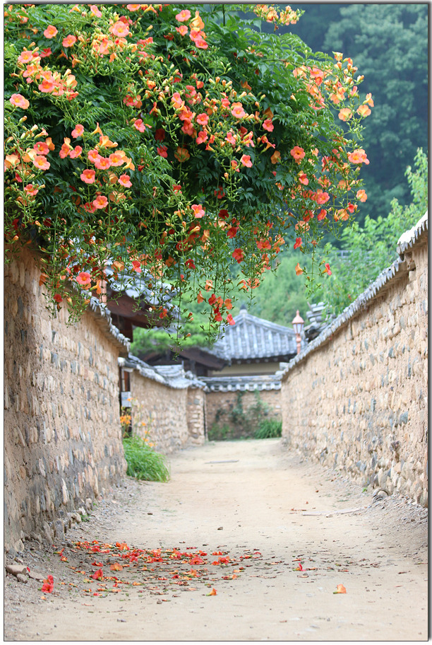 ����ũ��� ����