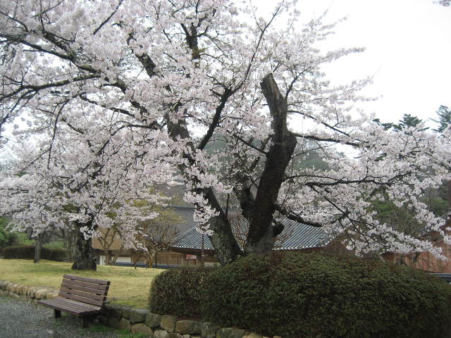 ����ũ��� ����