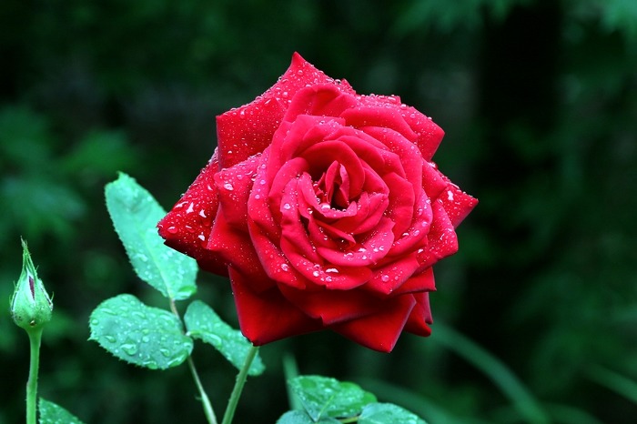 ����ũ��� ����