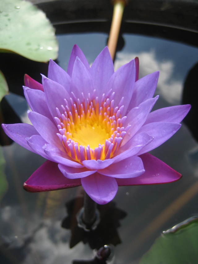 ����ũ��� ����