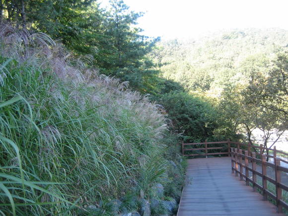 ����ũ��� ����