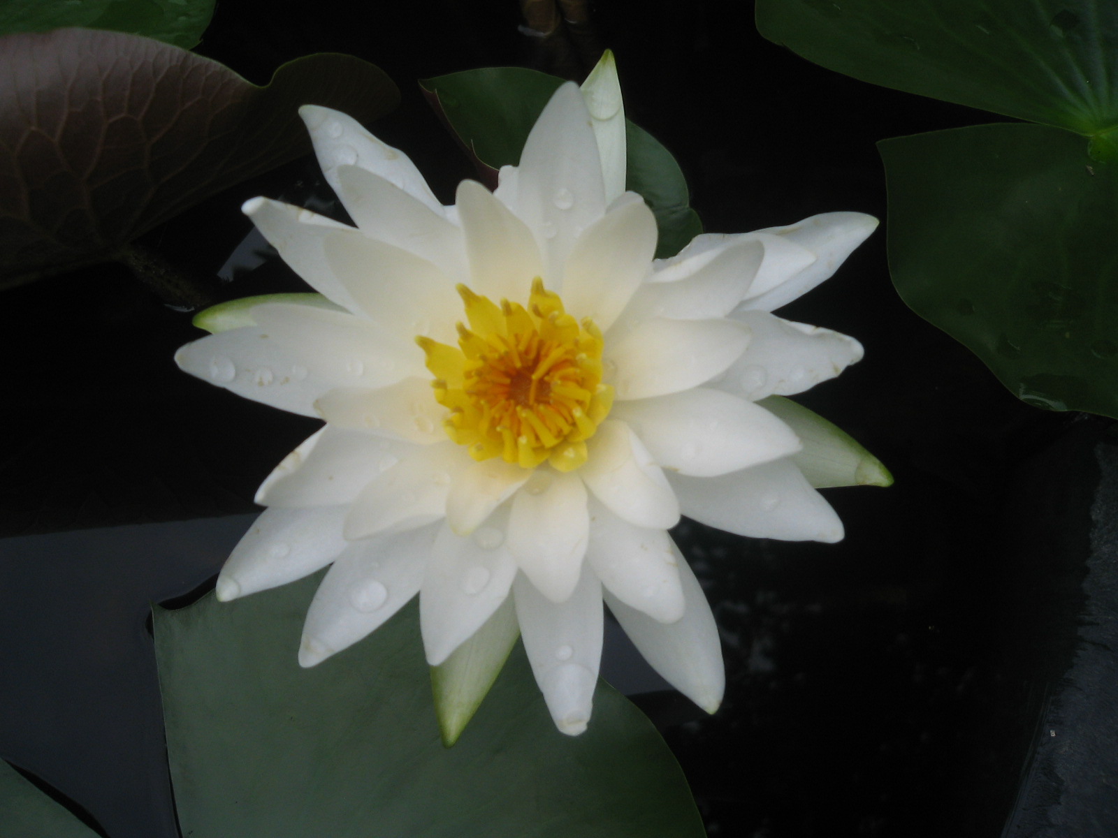 ����ũ��� ����