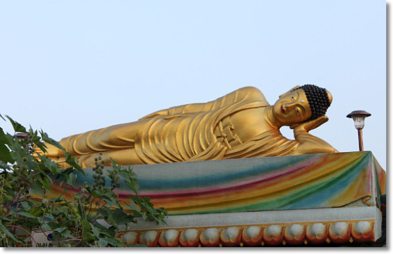 ����ũ��� ����