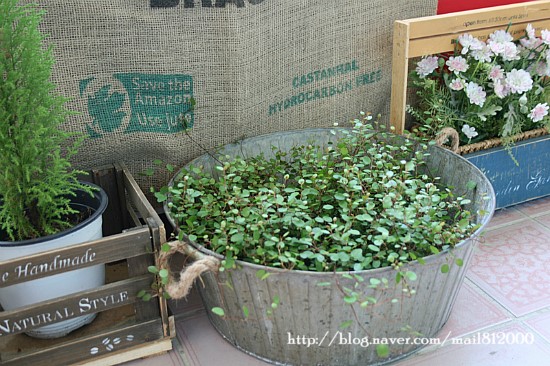 ����ũ��� ����