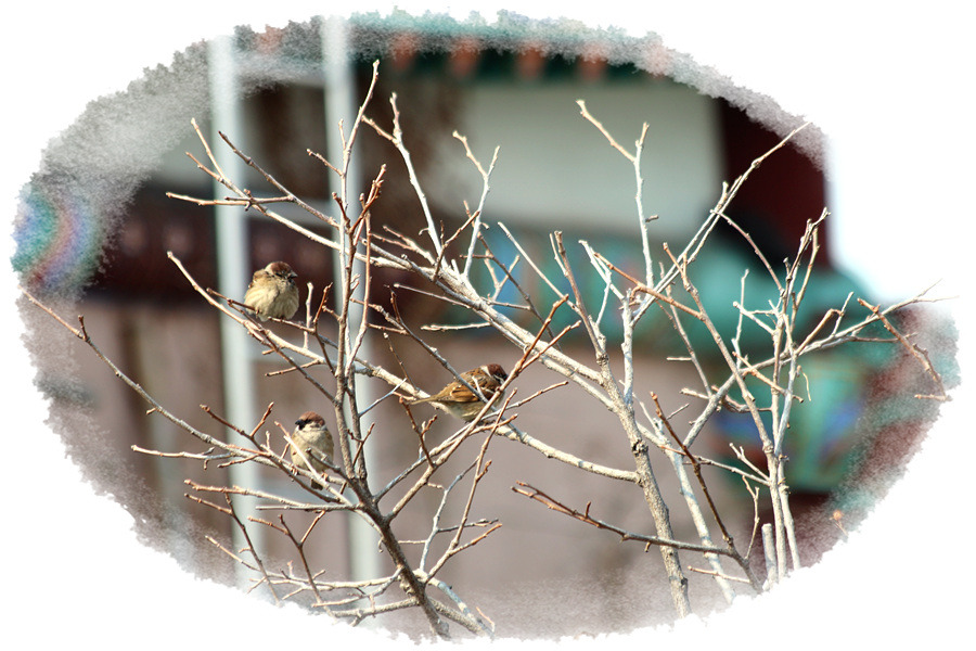 ����ũ��� ����