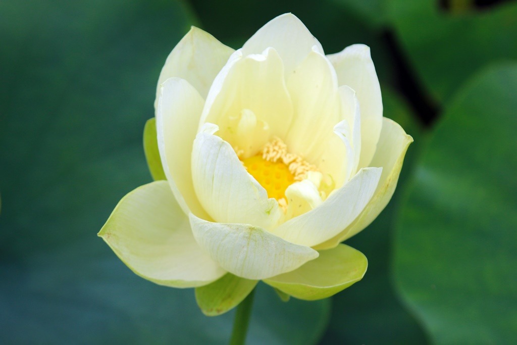 ����ũ��� ����