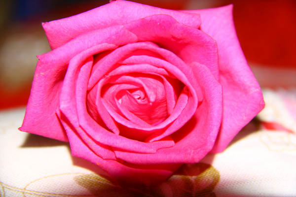 ����ũ��� ����