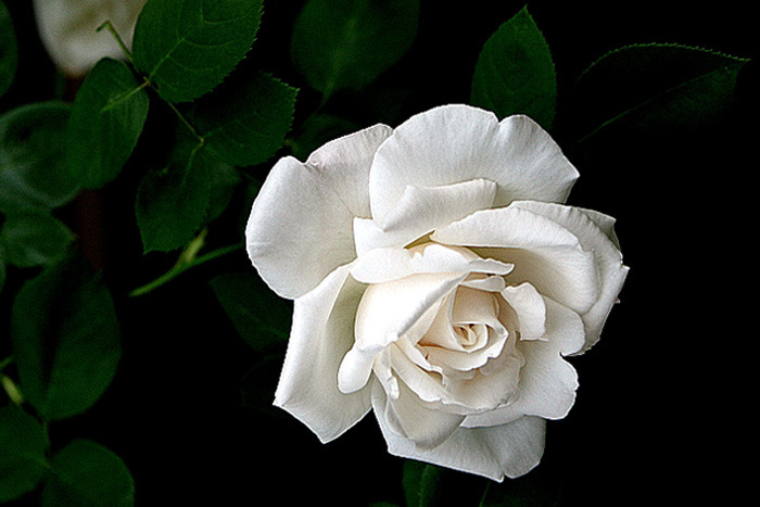 ����ũ��� ����