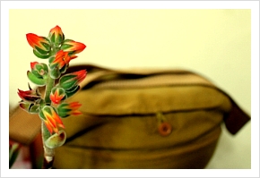 ����ũ��� ����