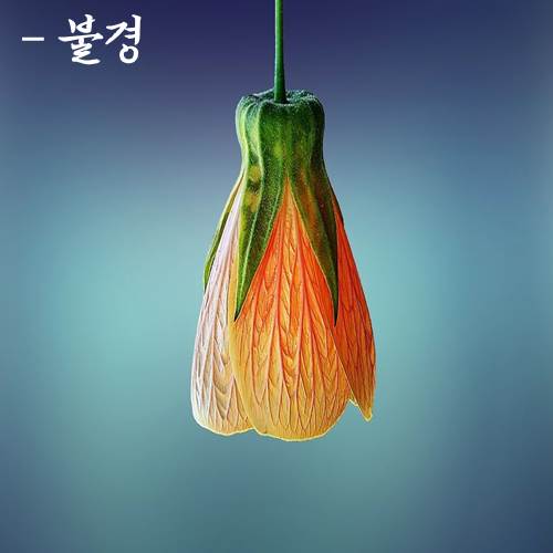 ����ũ��� ����