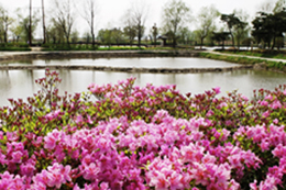 ����ũ��� ����