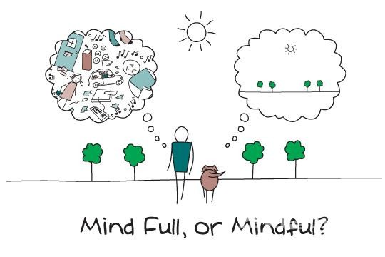 ����ũ��� ����