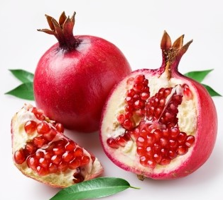 ����ũ��� ����