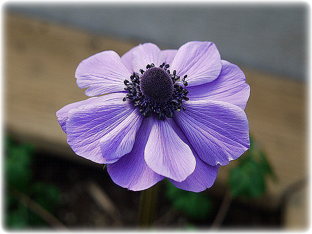 ����ũ��� ����