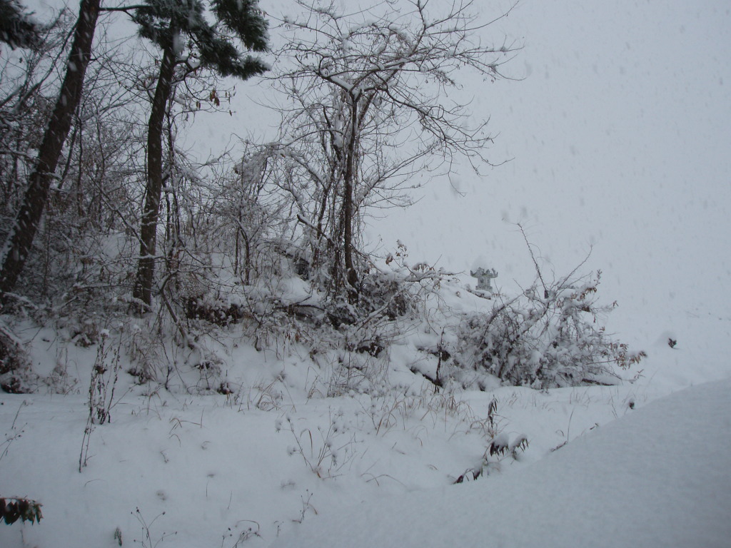 ����ũ��� ����