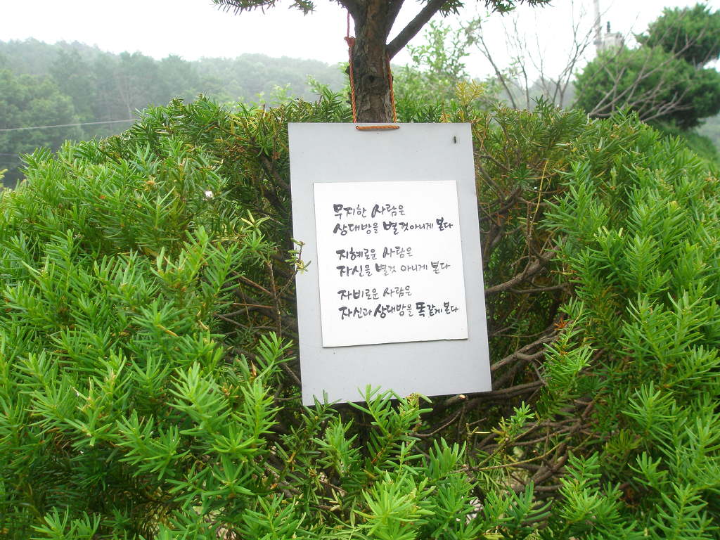 ����ũ��� ����