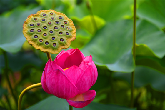 ����ũ��� ����