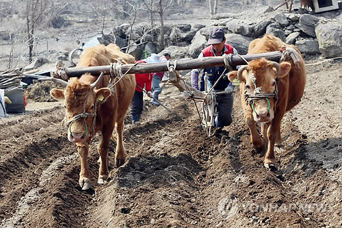 ����ũ��� ����