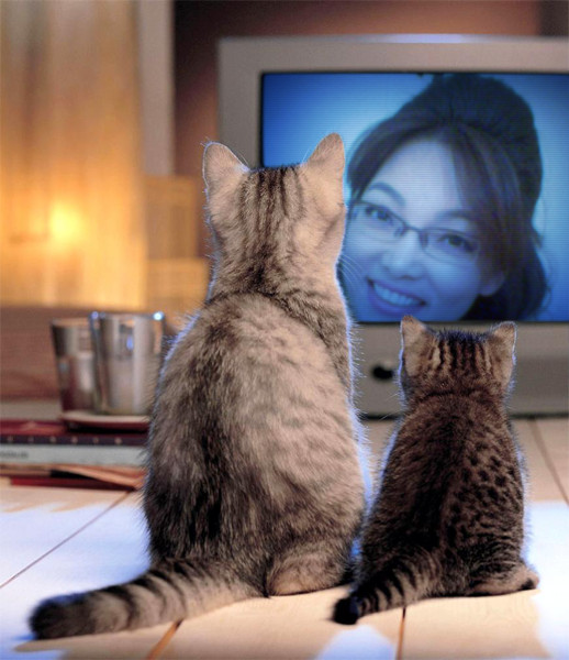 ����ũ��� ����