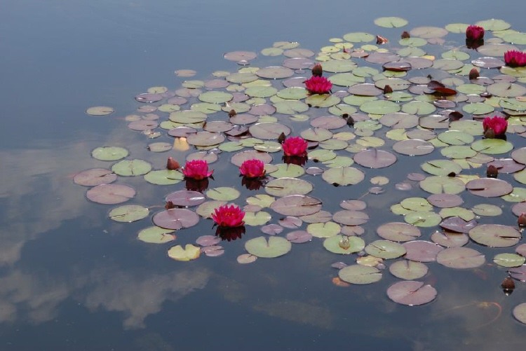 ����ũ��� ����