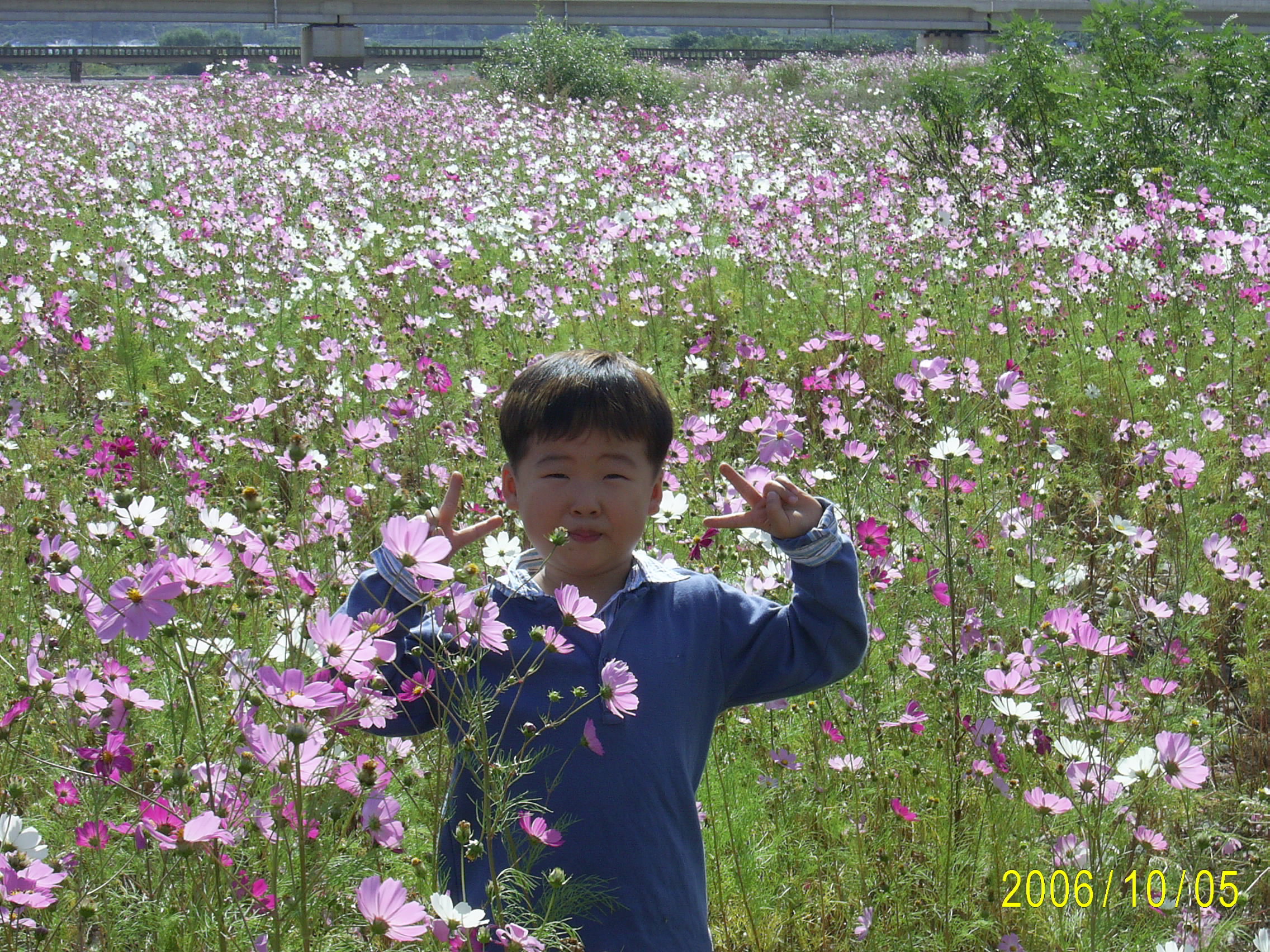 ����ũ��� ����