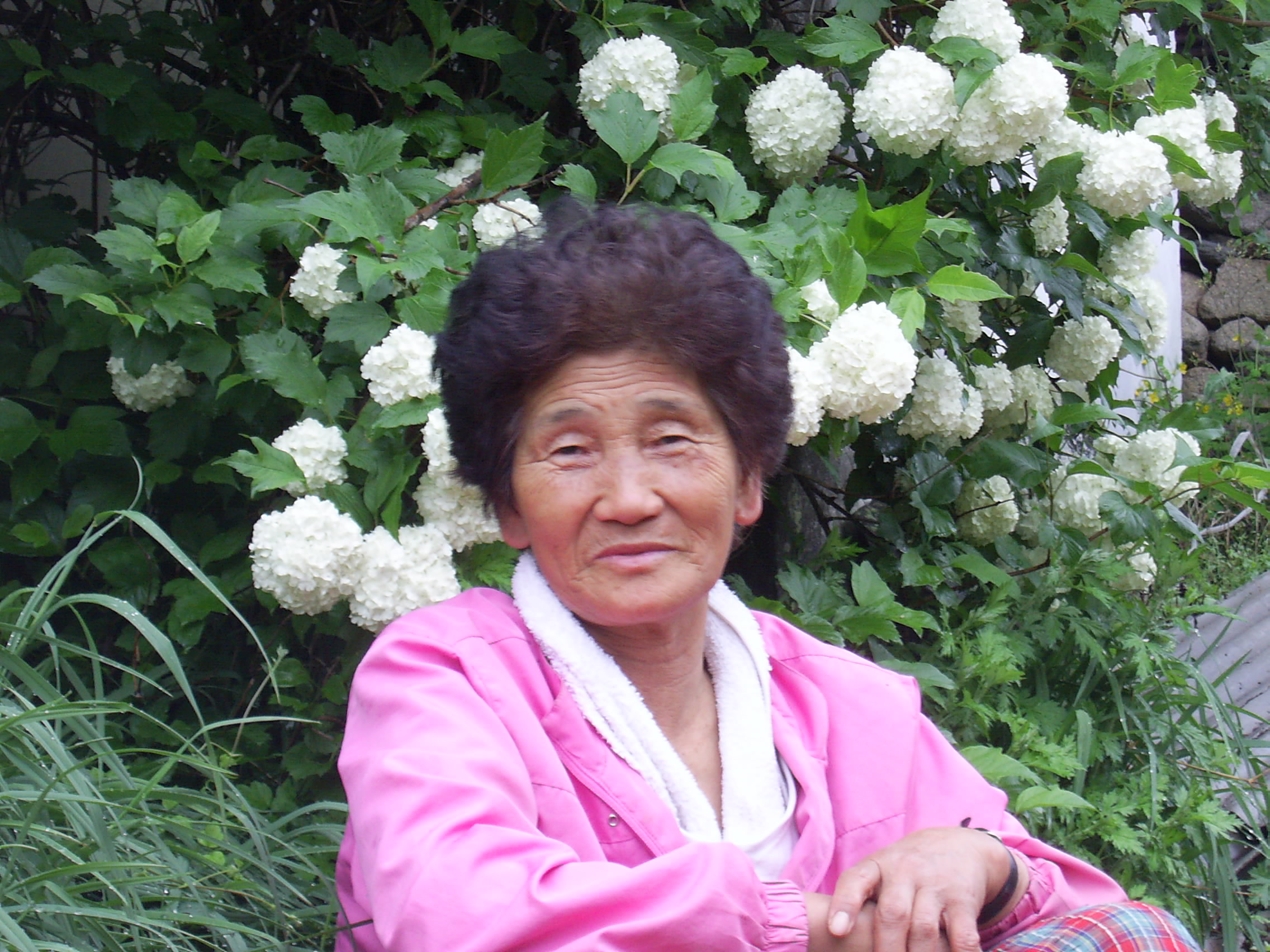 ����ũ��� ����