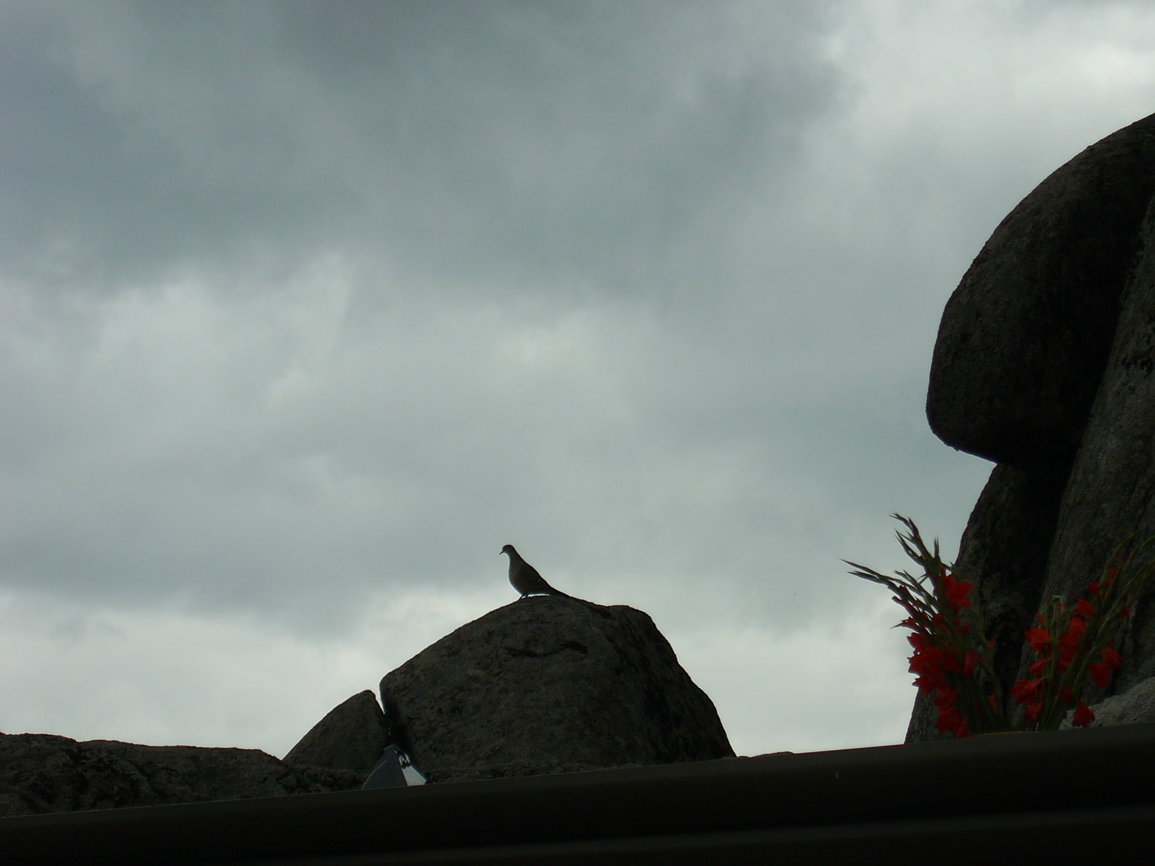 ����ũ��� ����