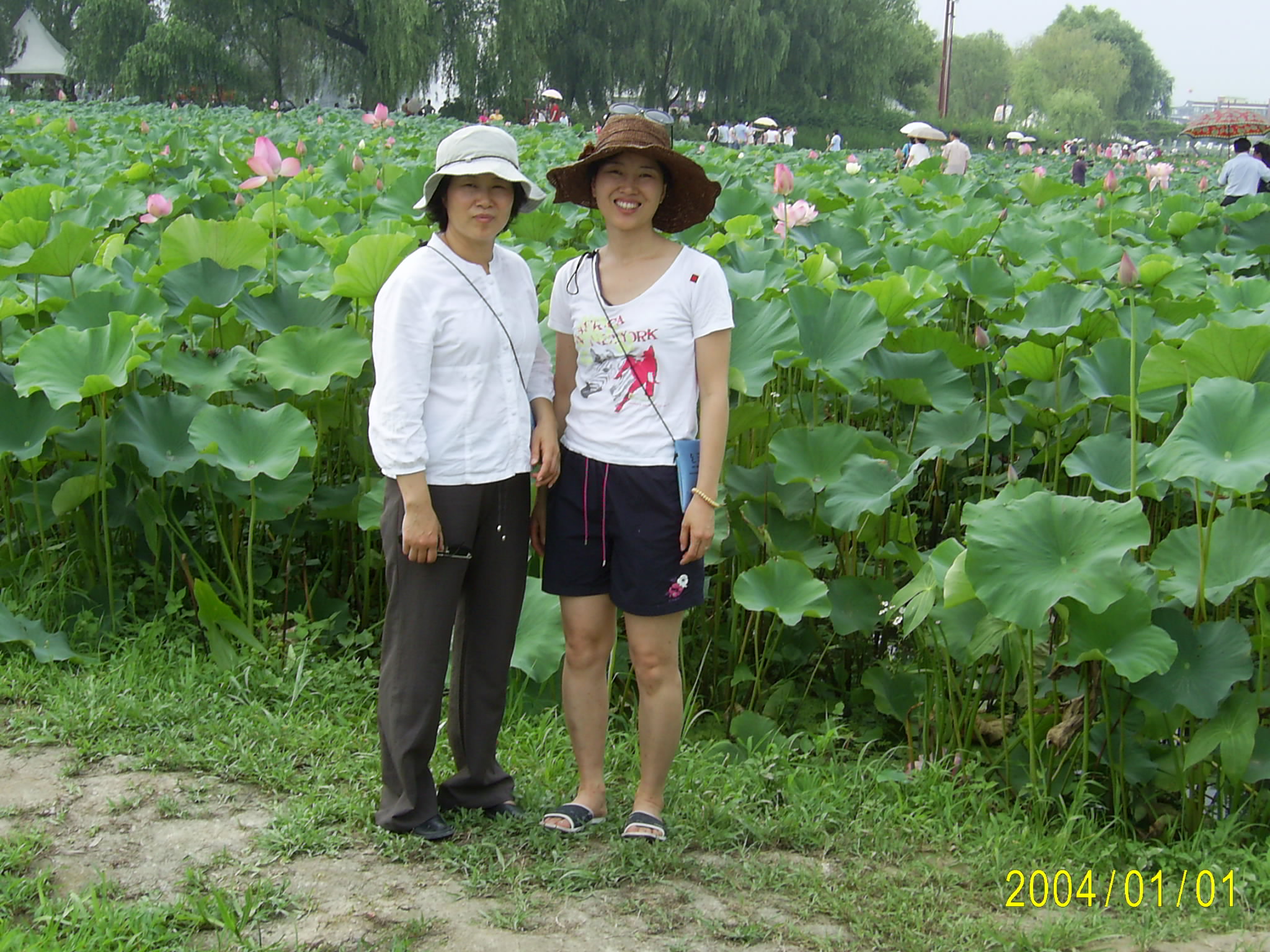 ����ũ��� ����