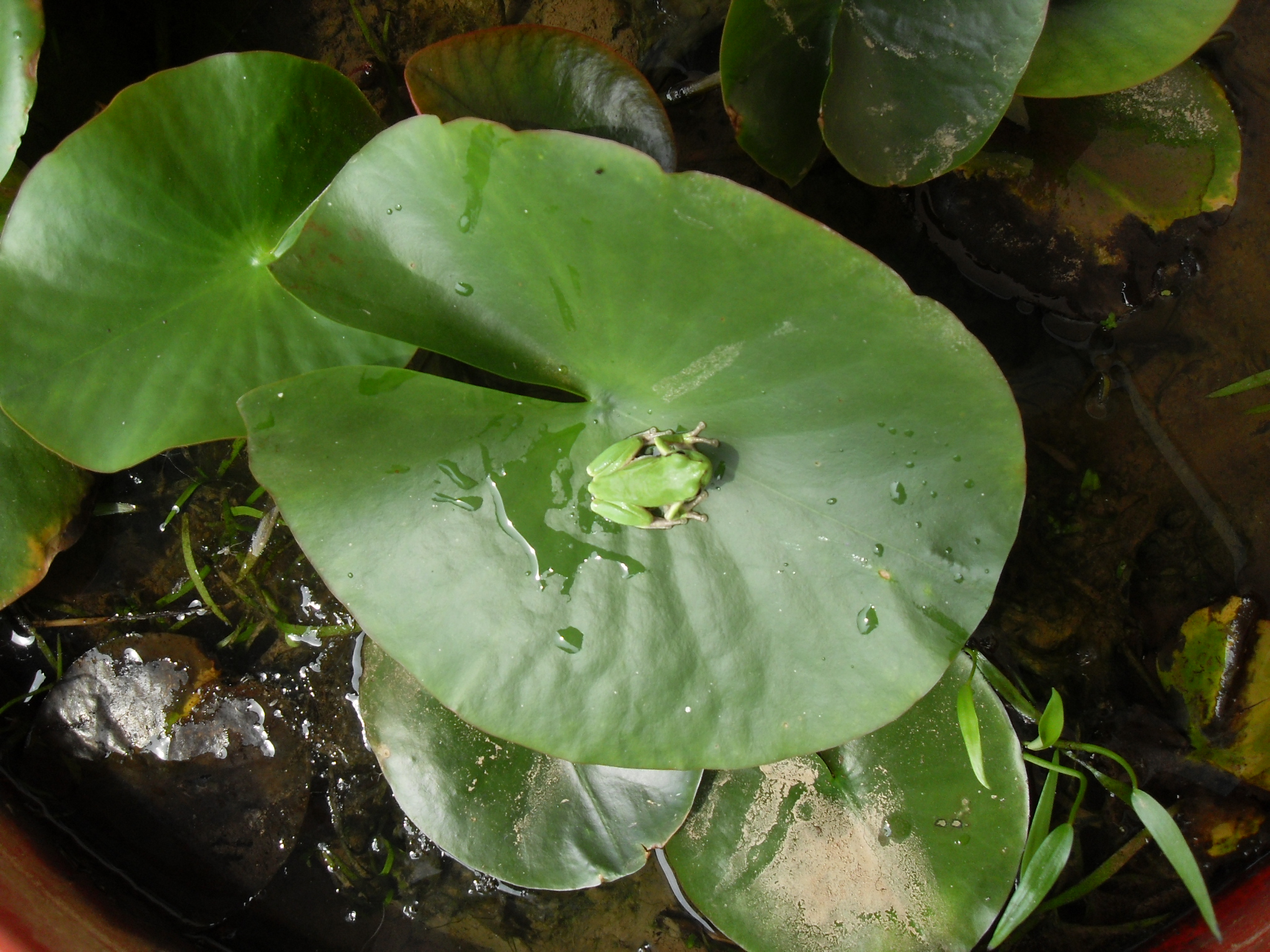 ����ũ��� ����