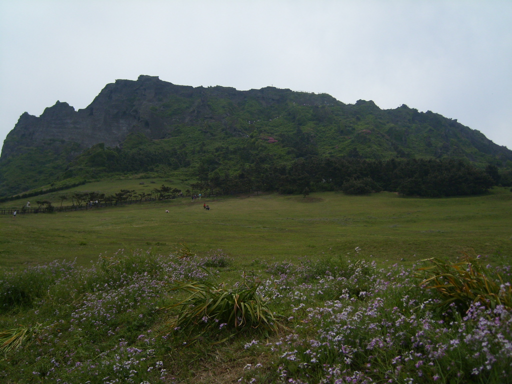 ����ũ��� ����