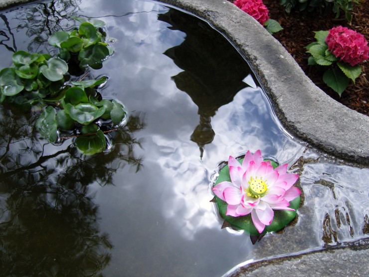 ����ũ��� ����