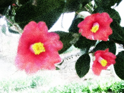 ����ũ��� ����