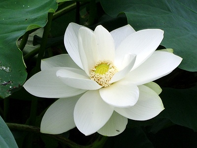 ����ũ��� ����