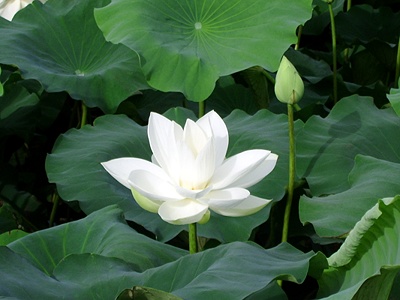 ����ũ��� ����