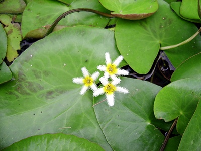 ����ũ��� ����