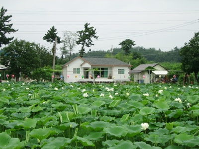 ����ũ��� ����