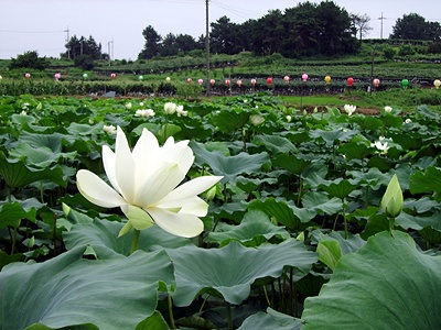 ����ũ��� ����