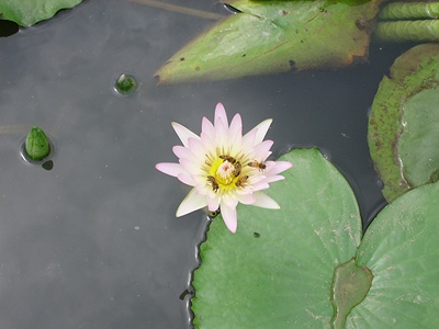 ����ũ��� ����