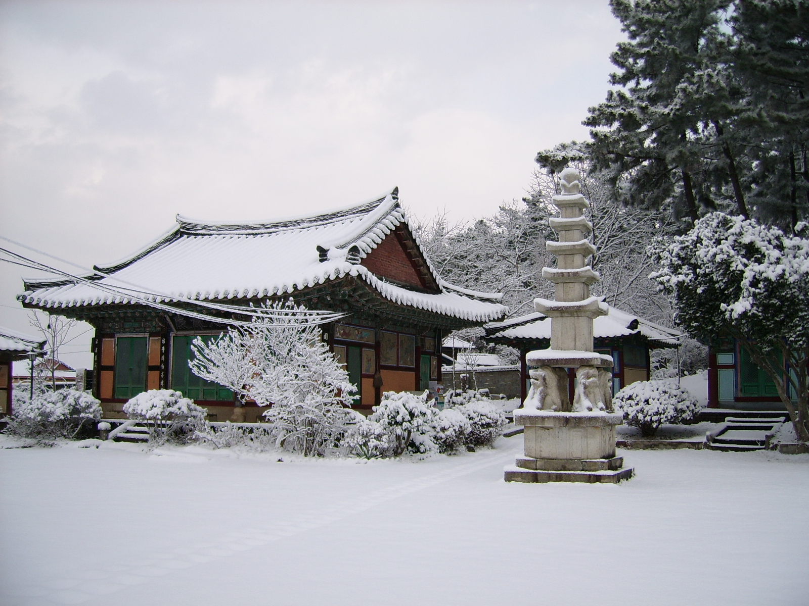 ����ũ��� ����